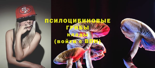ешки Балахна