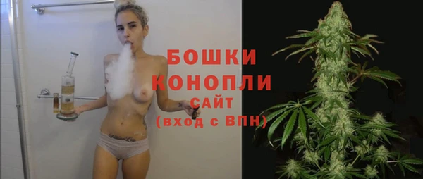 ГАЛЛЮЦИНОГЕННЫЕ ГРИБЫ Баксан