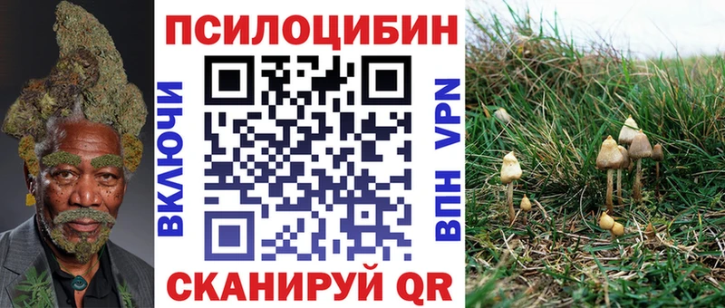 Псилоцибиновые грибы прущие грибы  Бодайбо 